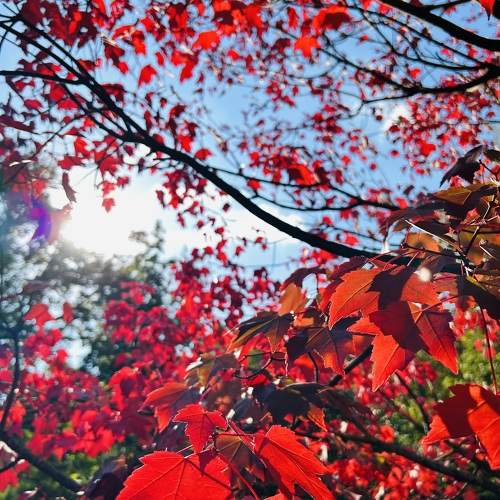 Photo #10376500