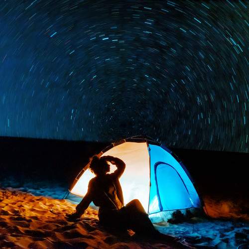 Photo #10376833