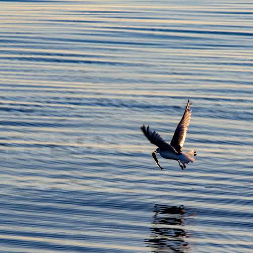 Photo #10376899