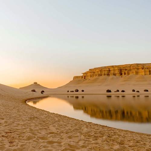 Photo #10376958