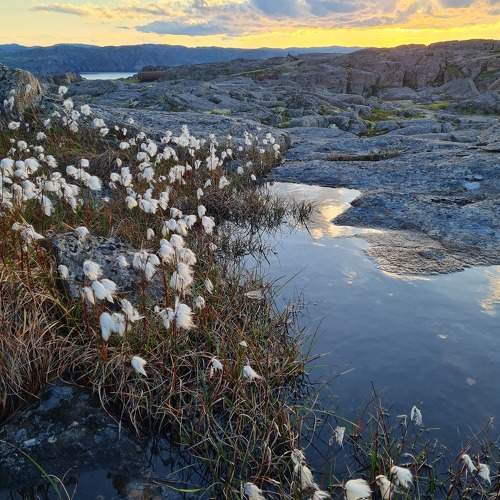 Photo #10377310
