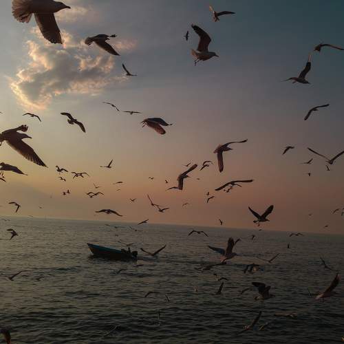Photo #10377820