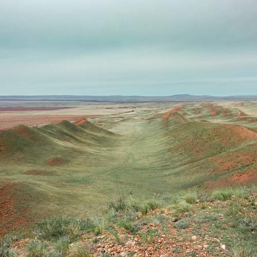 Photo #10377929