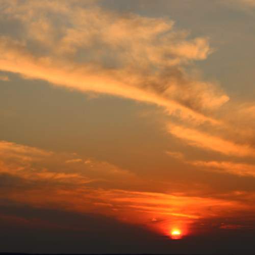 Photo #10378052
