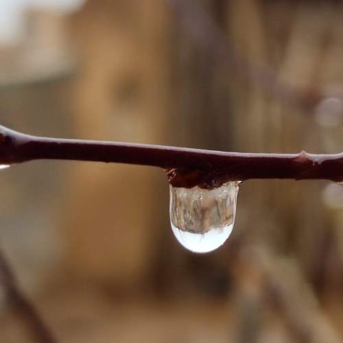 Photo #10378065