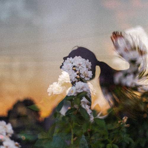 Photo #10378744