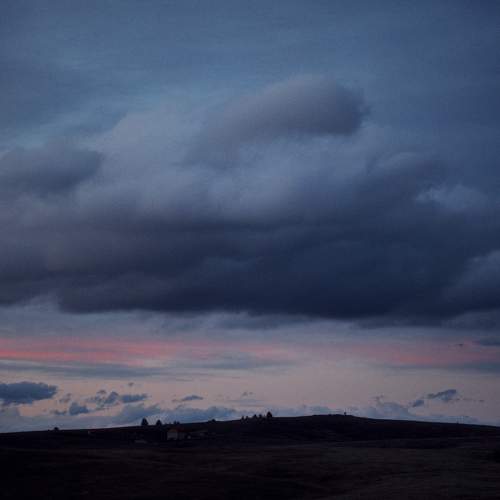 Photo #10378904