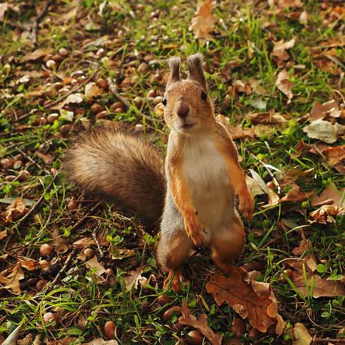 Photo #10379085