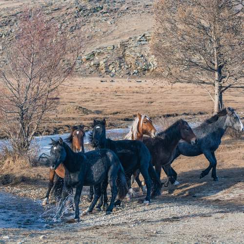 Photo #10379236