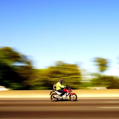 Photo #10379247