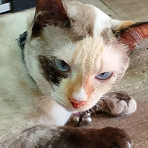 Photo #10379256