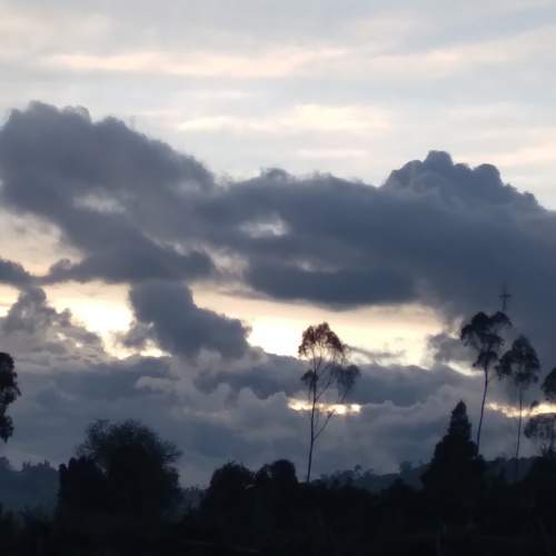 Photo #10379292