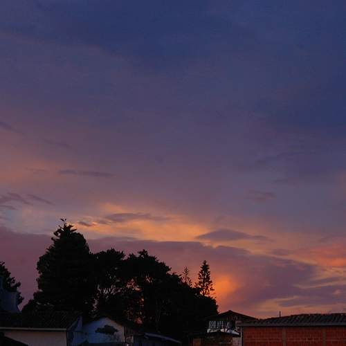Photo #10379439