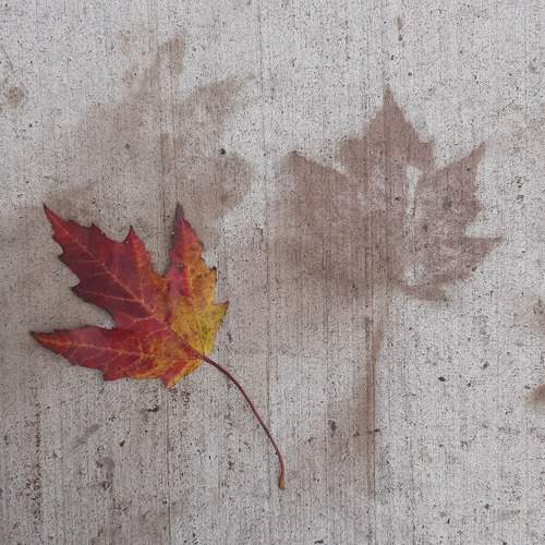 Photo #10379498