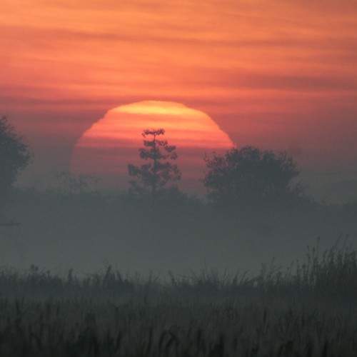 Sunrise in February