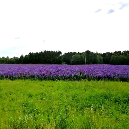 Photo #10379546