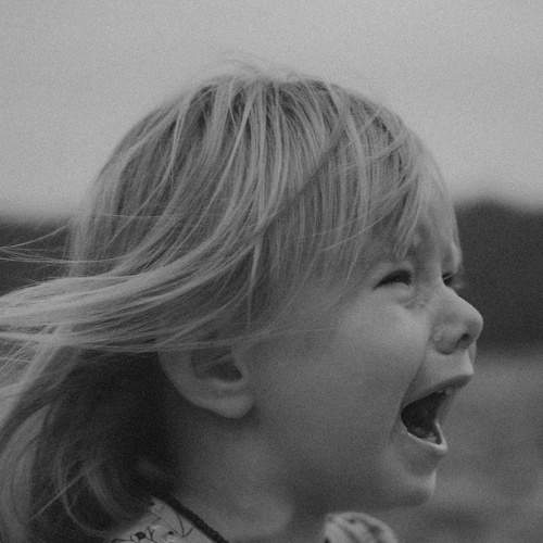 Photo #10379652