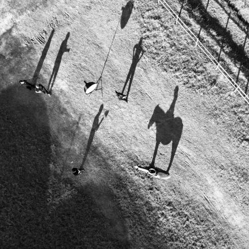 Photo #10379662