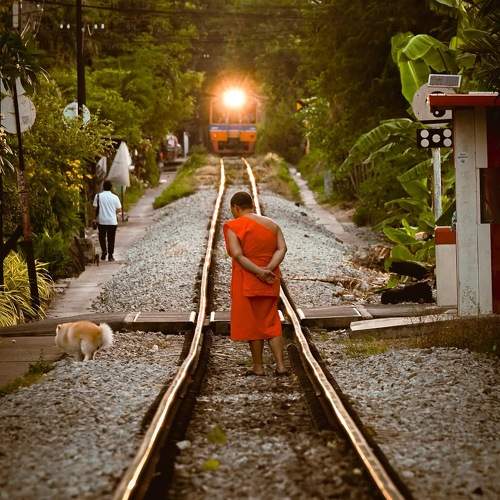 Photo #10379673