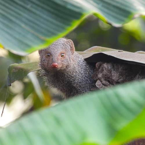 Photo #10379694