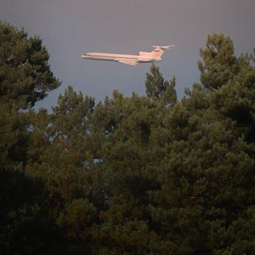 Photo #10379713