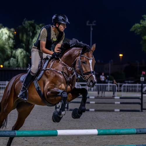 Фотография #10379720