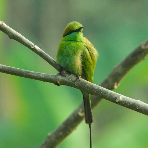 Photo #10379754