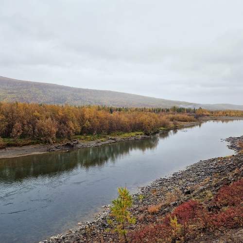 Photo #10379913