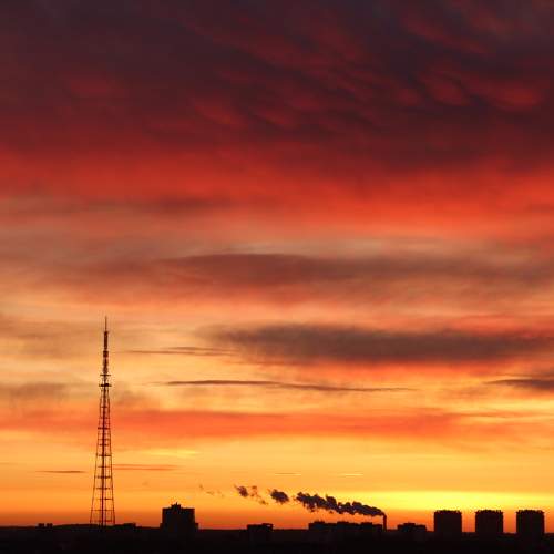Photo #10380096