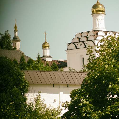Photo #10380188