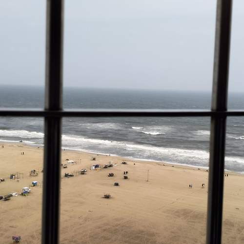 Photo #10380292