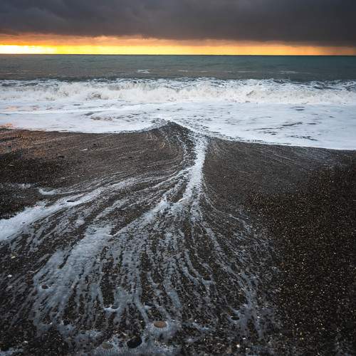 Photo #10380443