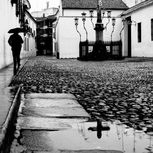 A rainy day