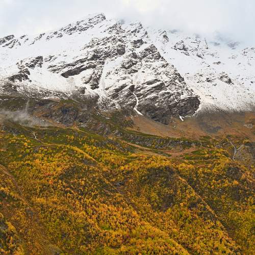 Photo #10380965