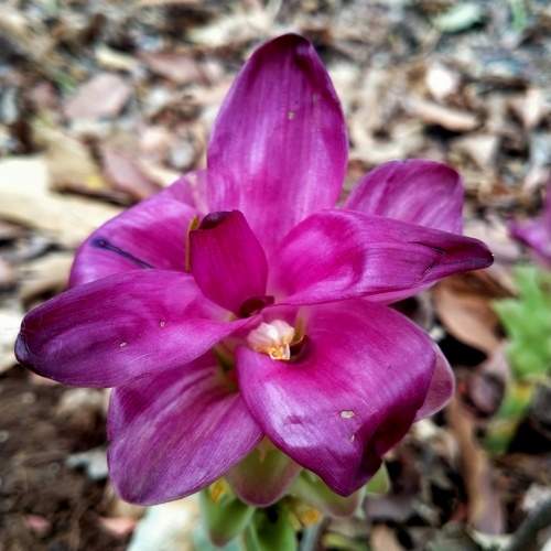 Photo #10380980