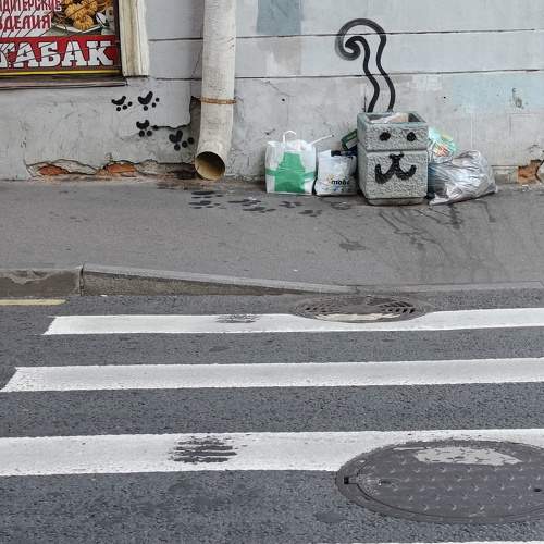 Photo #10381018