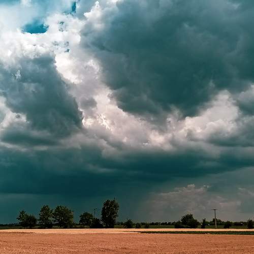 Photo #10381583