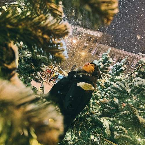 Photo #10381679