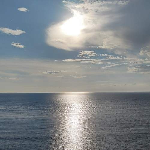 Photo #10382001