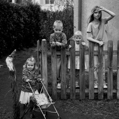 Photo #10382045