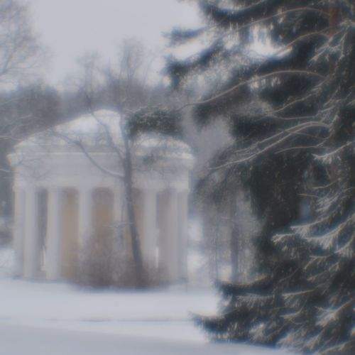 Photo #10382342