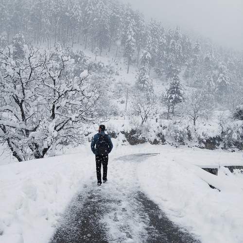 Photo #10383169