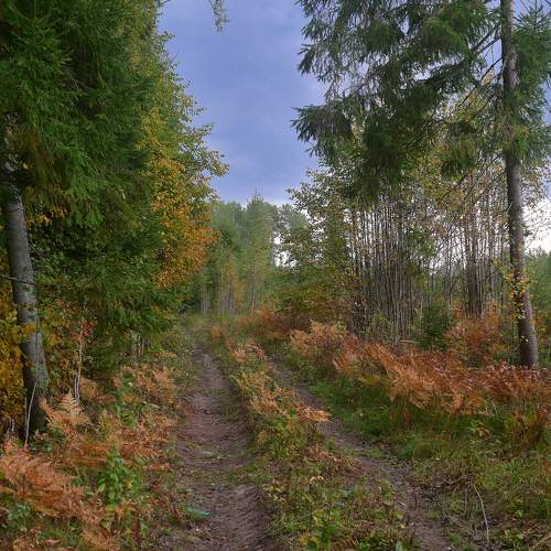 Photo #10383227