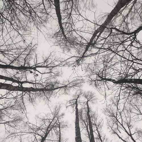 Photo #10383593