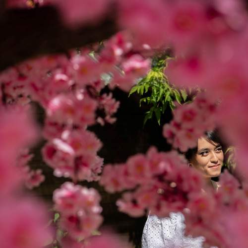 Photo #10383679
