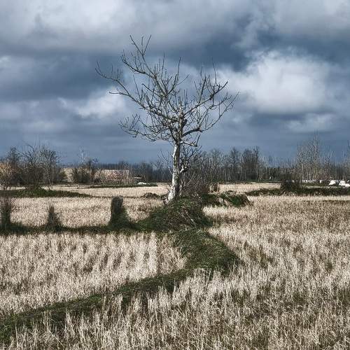 Photo #10383704