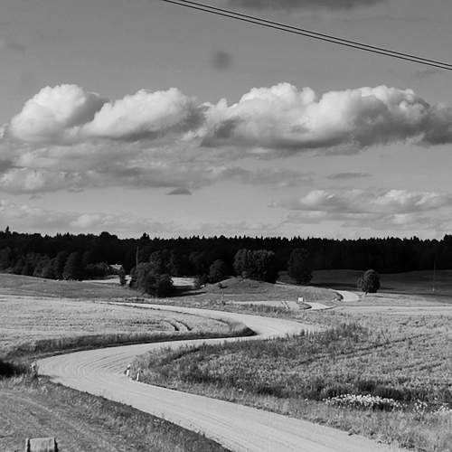 Photo #10383771