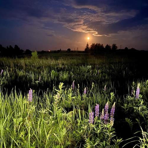 Photo #10383903