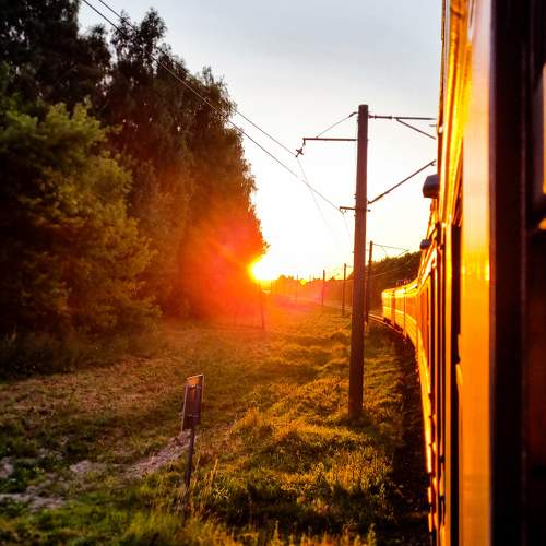 Photo #10383925