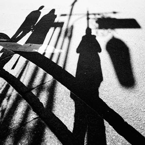 Photo #10383948